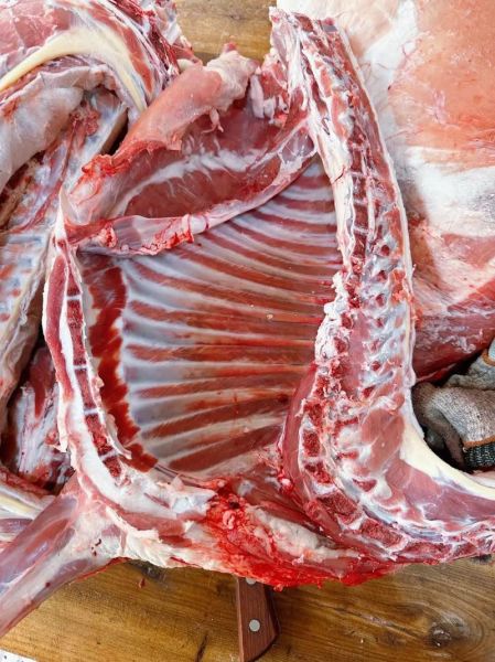 羊肉图片大全真实照片_如何挑选新鲜羊肉