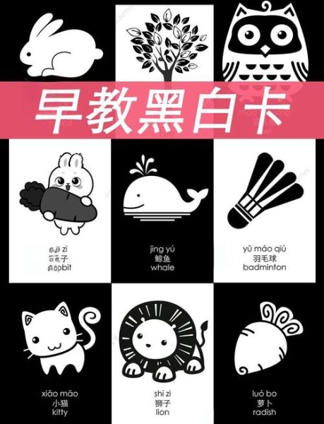 婴儿黑白图片大全_黑白卡什么时候用