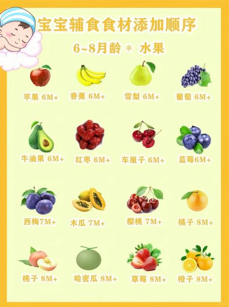 19个月宝宝吃什么辅食_19个月宝宝食谱图片参考