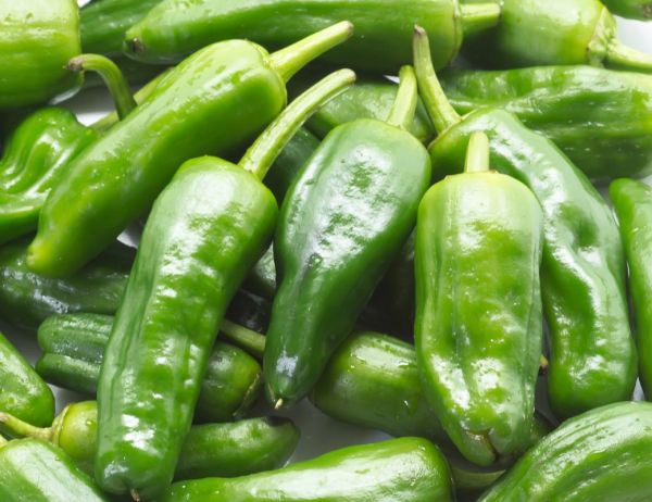 青椒图片大全大图_青椒高清图哪里找