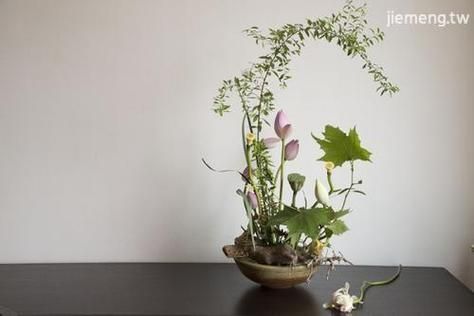 梦到插花是什么意思_如何解梦插花