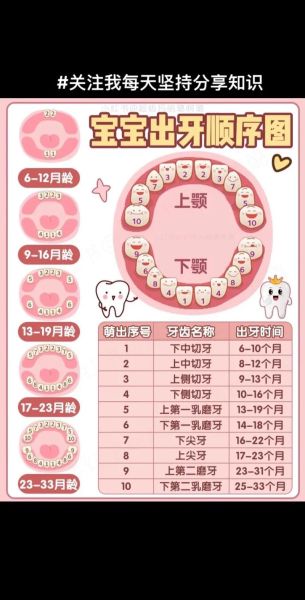 宝宝牙齿多久长齐_乳牙全部萌出时间表