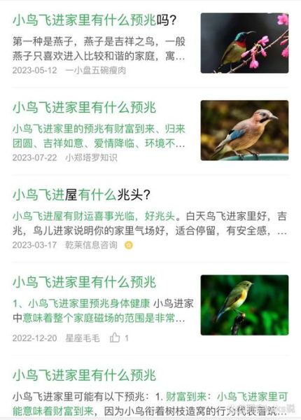 梦见鸟是什么意思_梦到鸟飞进家里好不好