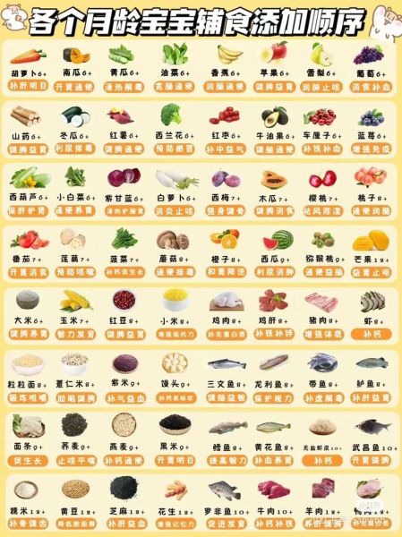 6个月宝宝辅食添加顺序_6个月宝宝一天吃几次辅食