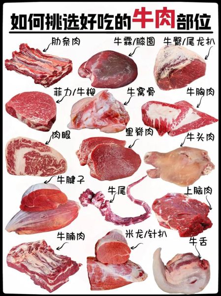 牛肉图片大全高清图片_如何挑选优质牛肉图解