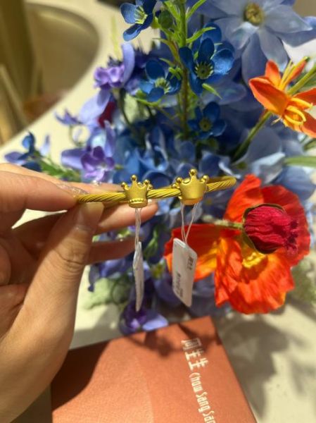 王冠图片大全_如何辨别真假王冠