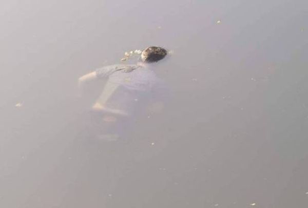 梦到水里有死人_是什么预兆