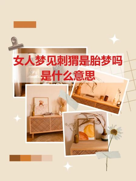 梦到打胎是什么意思_梦见自己打胎代表什么