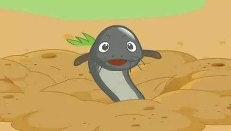 泥鳅简笔画怎么画_泥鳅简笔画图片大全