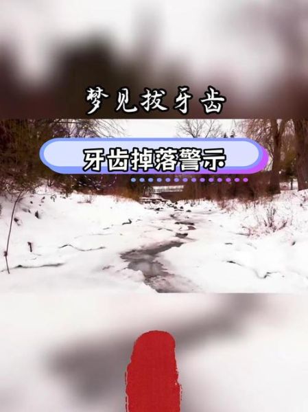 梦到拔牙齿是什么意思_梦见拔牙后出血怎么办