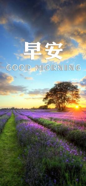 早安风景图片大全唯美_如何用手机拍出清晨氛围感