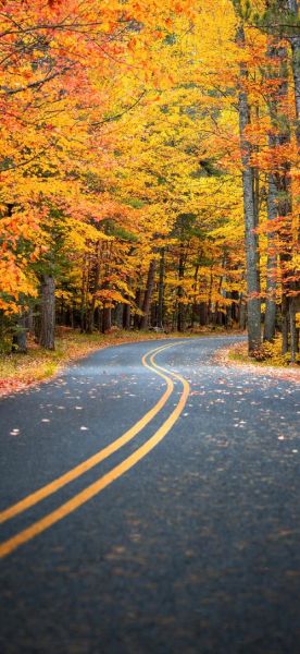 秋天图片大全大图_秋天风景图片哪里找
