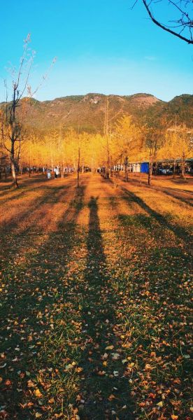 秋天图片大全大图_秋天风景图片哪里找