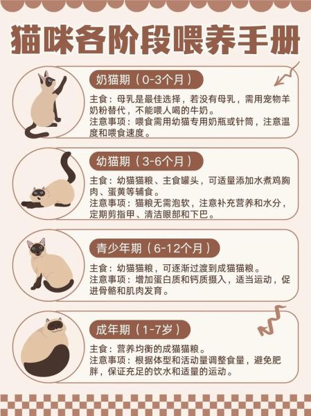 动物宝宝怎么喂养_动物宝宝多久断奶