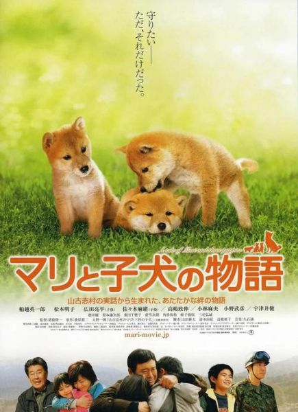 迅雷狗狗电影下载_迅雷狗狗还能用吗