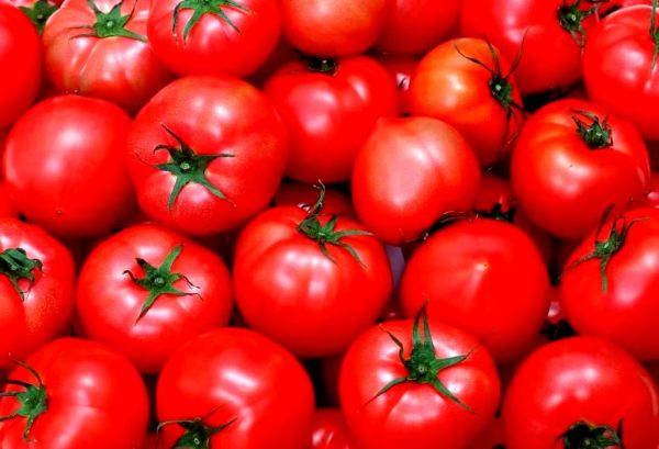 梦到番茄是什么意思_梦见番茄是吉兆吗