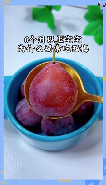 宝宝可以吃西梅吗_西梅泥几个月能吃