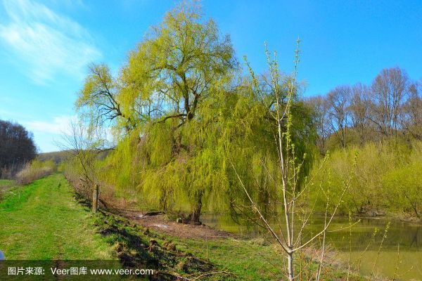 绿色地带迅雷下载_绿色地带高清资源在哪找