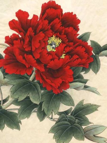 工笔牡丹图片大全高清_如何下载保存