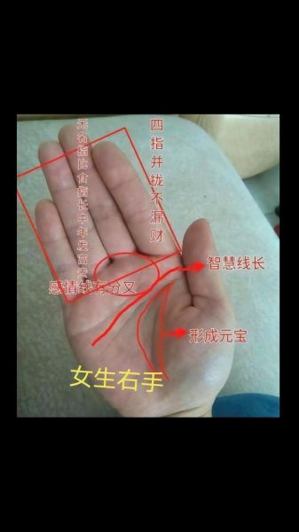 手纹图片大全_手相图解怎么看