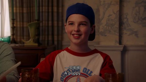 少年谢尔顿迅雷下载_哪里能看高清全集