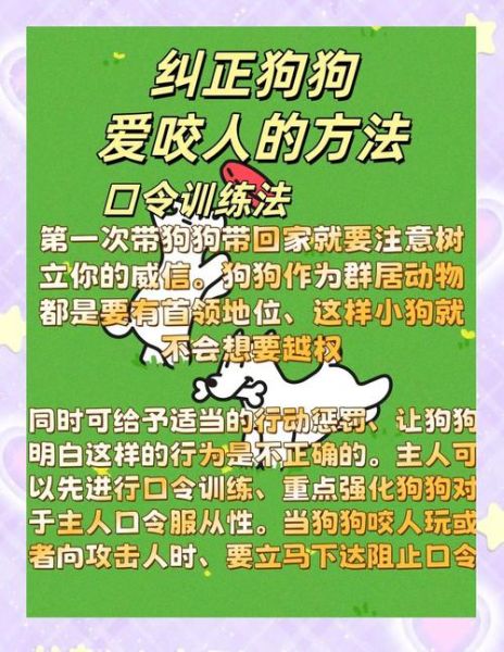 梦到恶犬是什么意思_被狗咬了怎么办