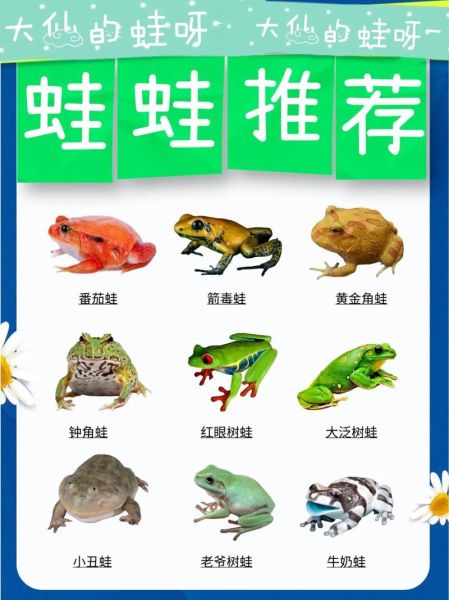 蛙类大全图片及名称_如何快速识别常见蛙种