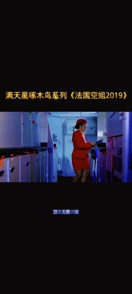 法国啄木鸟迅雷下载_如何找到高清资源