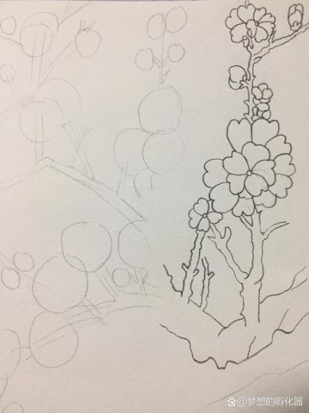 梅花图片大全大图_唯美简笔画怎么画
