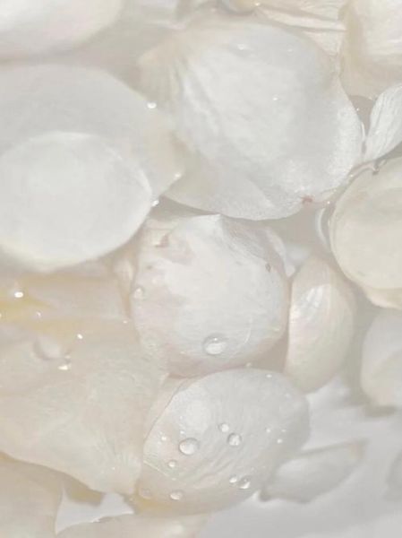 白色背景图片大全_如何挑选高清无版权素材