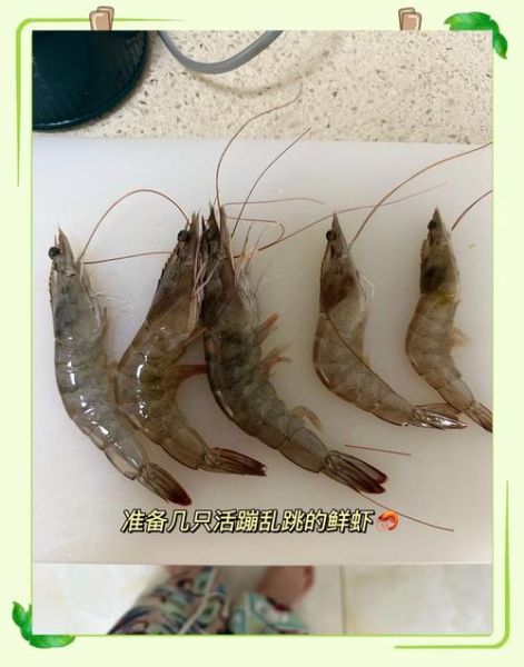 七个月宝宝可以吃虾吗_七个月宝宝吃虾注意事项