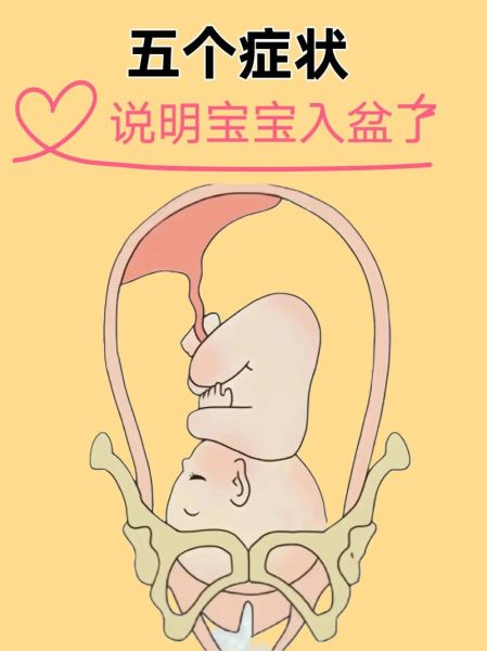 宝宝入盆有什么感觉_入盆后多久会生