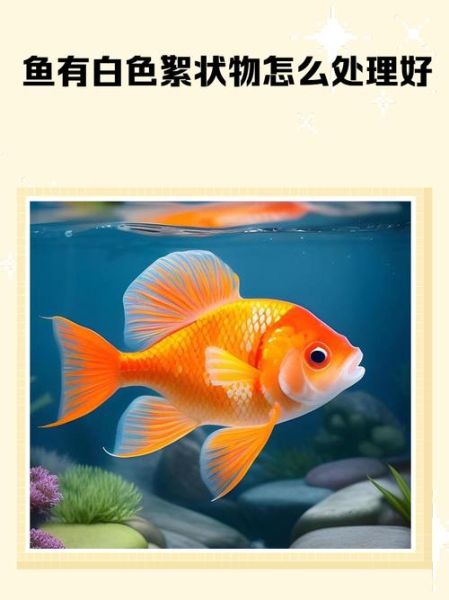 梦到白色的鱼是什么意思_白色鱼梦境解析