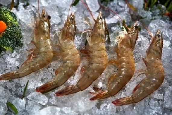 梦到大虾是什么意思_梦到大虾是吉兆吗