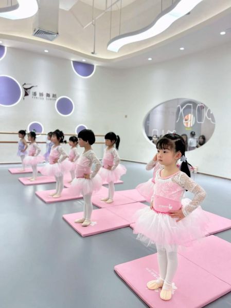 3岁宝宝学什么舞蹈好_适合3岁宝宝的舞蹈类型