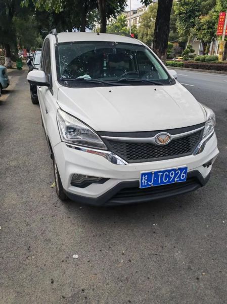 牛头车标图片大全_如何辨别真假