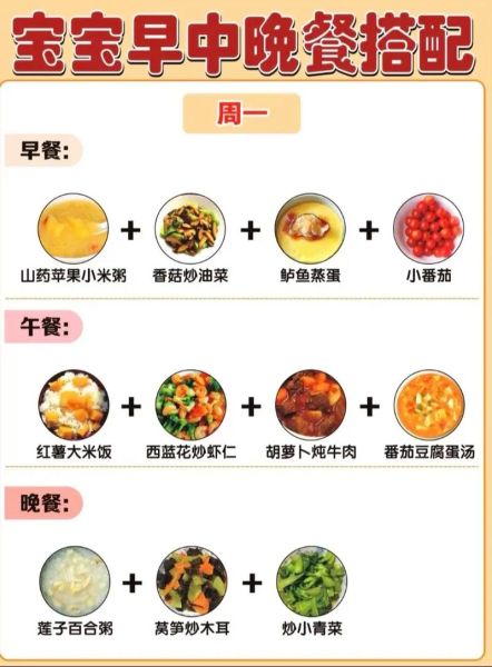20个月宝宝一周食谱_怎么安排最科学
