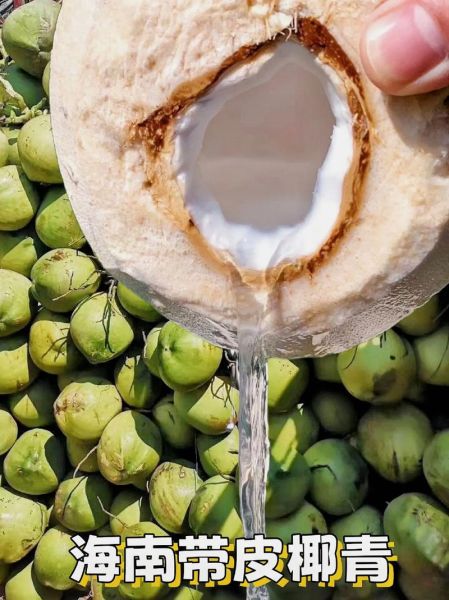 椰子图片大全_如何挑选高清素材