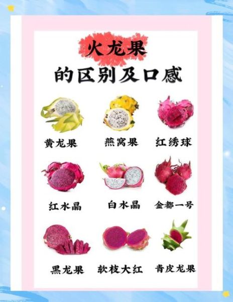 火龙果图片大全大图_火龙果品种怎么区分