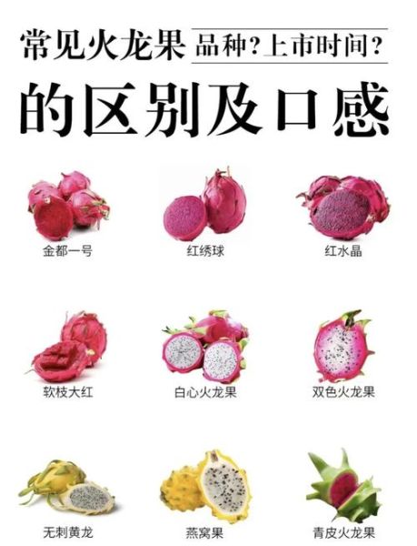 火龙果图片大全大图_火龙果品种怎么区分