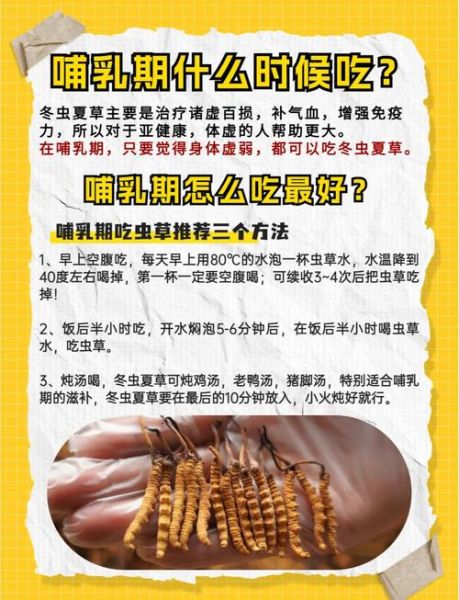 虫宝宝怎么养_虫宝宝吃什么