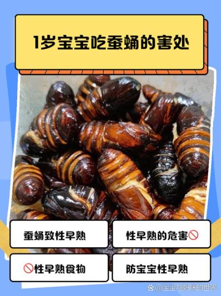虫宝宝怎么养_虫宝宝吃什么