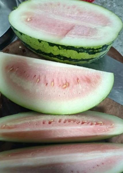 西瓜没熟怎么办_没熟的西瓜图片大全