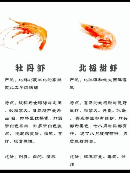 梦到虾是什么意思_梦见虾好不好