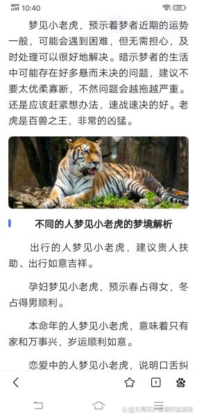 梦到小老虎是什么意思_梦见小老虎是吉是凶
