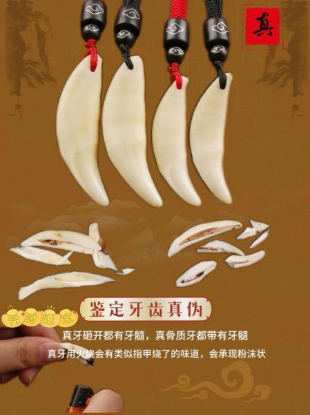 狼牙图片大全_狼牙吊坠真假怎么辨别
