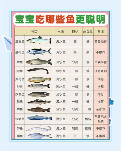 鱼宝宝怎么养_鱼宝宝吃什么