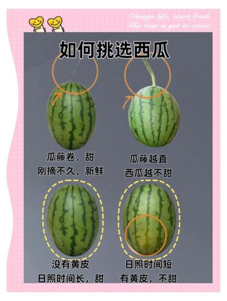 梦到买西瓜是什么意思_梦见买西瓜好不好