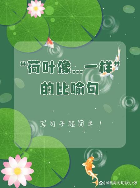 梦到荷叶是什么意思_荷叶梦境解析