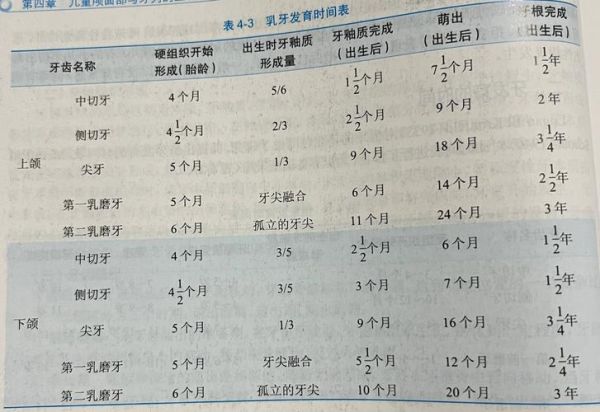宝宝牙齿长齐要多久_乳牙全部萌出时间表
